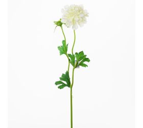 Ks scabiosa biela 41cm