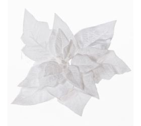 Poinsettia biela zasnež. klip 15cm