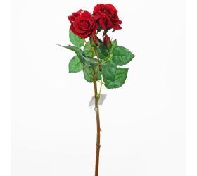 Ks ruža viackv.červ. 37cm