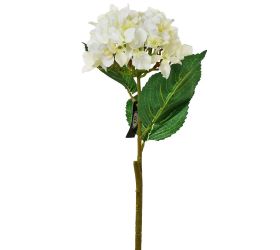 Ks hortenzia biela 50cm