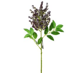 Ks astilbe fialové 65cm