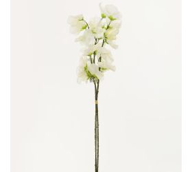 Ks  hrachor x3 45cm crem