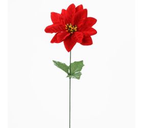 Ks poinsettia červená