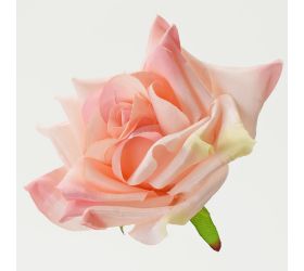 Hlava ruža ružová 12cm bal:12ks