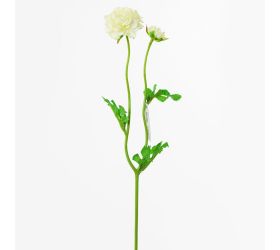 Ks ranunculus biely 39cm