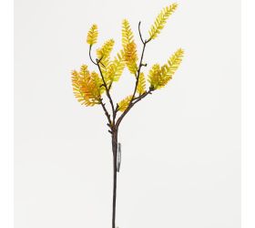 Ks  zeleň cypruštek červ.zel. 54cm