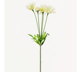 Ks margarétka krém 32cm