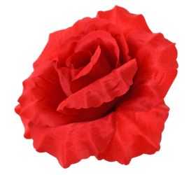 Hlava ruža červená p:10cm bal:12ks