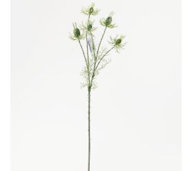 Konár nigella bl.zelená 60cm