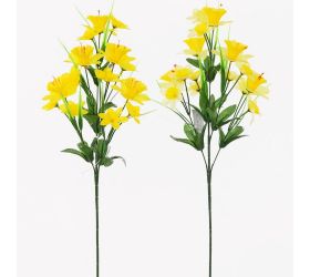Kytica narcis mix 2f 70cm
