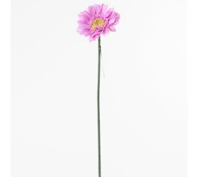 Ks gerbera ružová 45cm