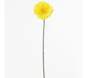 Ks gerbera žltá 45cm