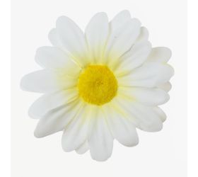 Hlava margarétka biela p:7cm bal:100ks