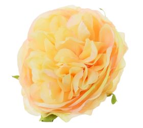 Hlava ruža anglická lososová p:9cm bal:12ks