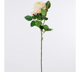 Ks ruža brosk. 75cm