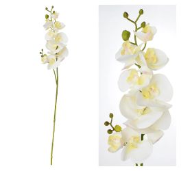 Ks orchidea biela 88cm