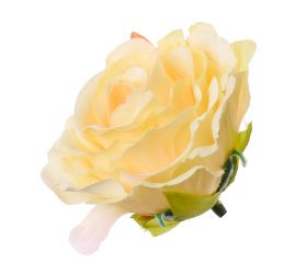 Hlava ruža marhuľová p:6cm bal:24ks