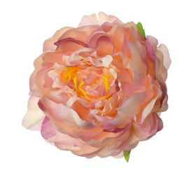 Hlava pivoňka st.ružová priem:10cm bal:12ks