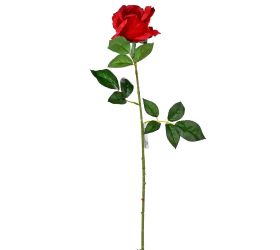 Ks ruža červená 65cm