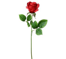 Ks ruža červ. 45cm