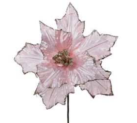 Ks poinsetia st.ruž.