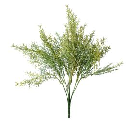 Zápich asparagus oranžový 37cm