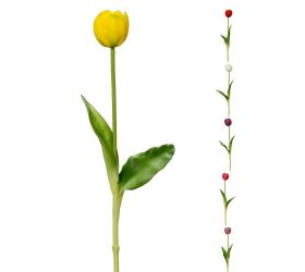 Ks tulipán mix 6f 40cm