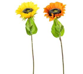 Ks slnečnica mix 2f 40cm