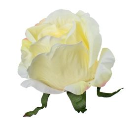 Hlava ruža krémova ruž. konce p:8cm bal:12ks