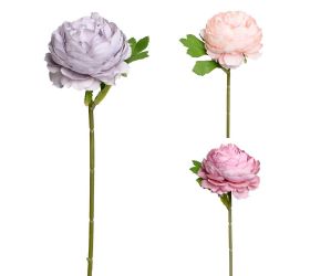 Ks ranunculus 3f 30cm