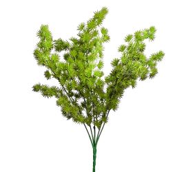 Zápich asparagus umbellatus 36cm