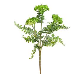 Ks sedum zelené 42cm