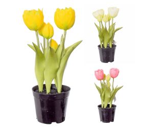 Tulipány v črepníku x5 3f 24cm