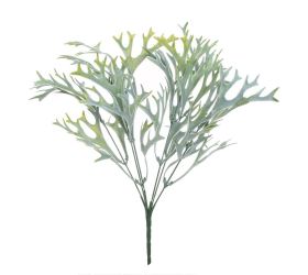 Zápich zeleň parohovec sv.zel.