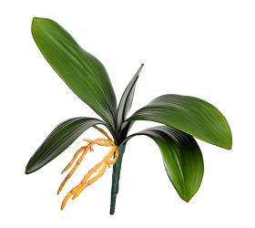 Zápich list orchidea 27cm