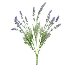 Zápich levanduľa fial.