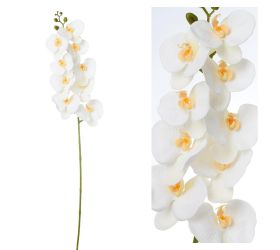 Orchidea phalenopsis biela 96cm
