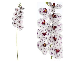 Orchidea phalenopsis biela s fial kvetmi 96cm