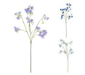 Konár oxypetalum mix/f 64cm