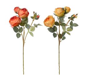 Ks ruža 4-puky, mix/f 62cm