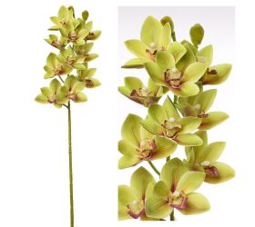 Kusovka orchidea cymbidium zelené 74cm