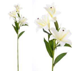 Ľalia stargarzer biela 3 kvety 73cm