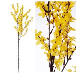 Ks zlatý dážď 78cm