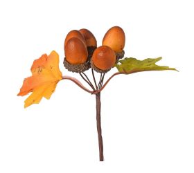 Zápich žalude, listy 13cm