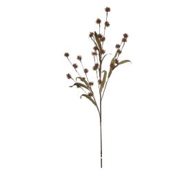 Konár bodliak oranžový 75cm