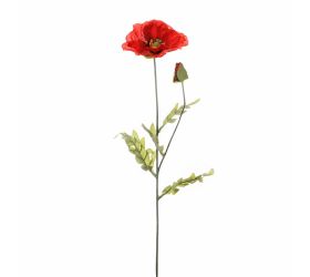 Ks papaver 1hlava + puk 72cm