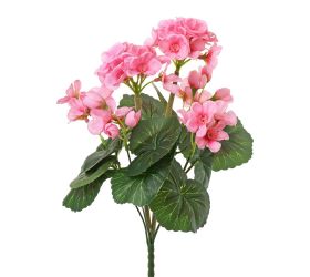 Kytica muškát zonalka ružový 31cm