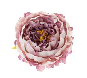 Ks pivonka hlava fialová 8*14cm