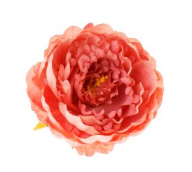 Ks pivonka hlava lososová 8*14cm