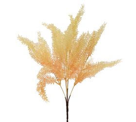 Zeleň asparát oranžový 37cm